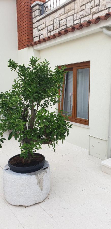 Haus Silvia Apartment Rovinj Exterior photo